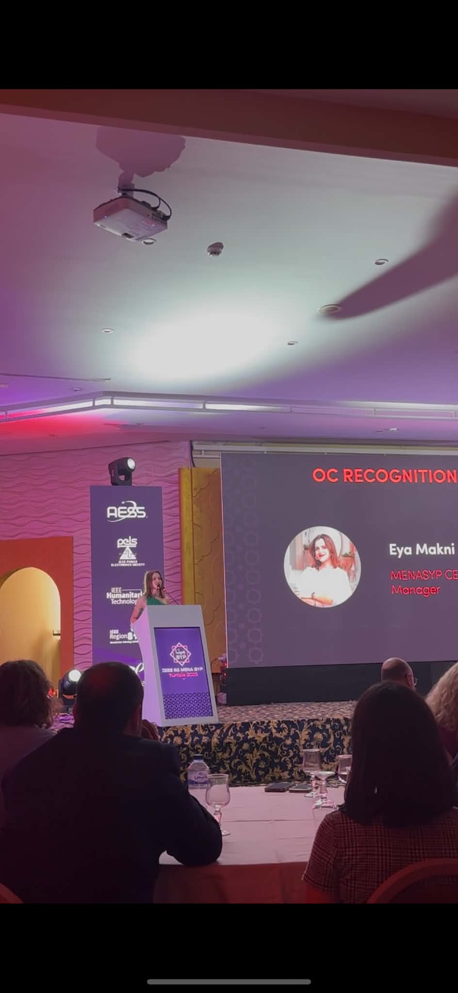 Recognition at MENA SYP